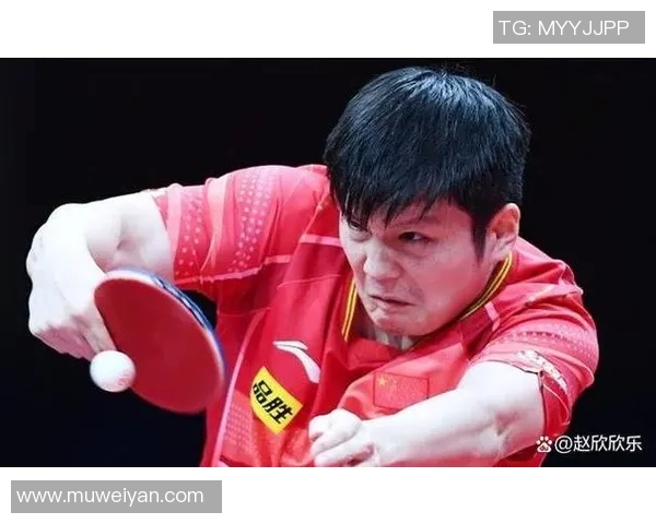 深入探讨杭州乒乓球队比赛经验的独特优势与不足之处分析