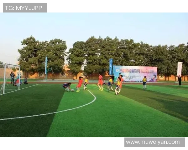 陈秀英的足球人生对话：从绿茵场到心灵深处的探索与反思