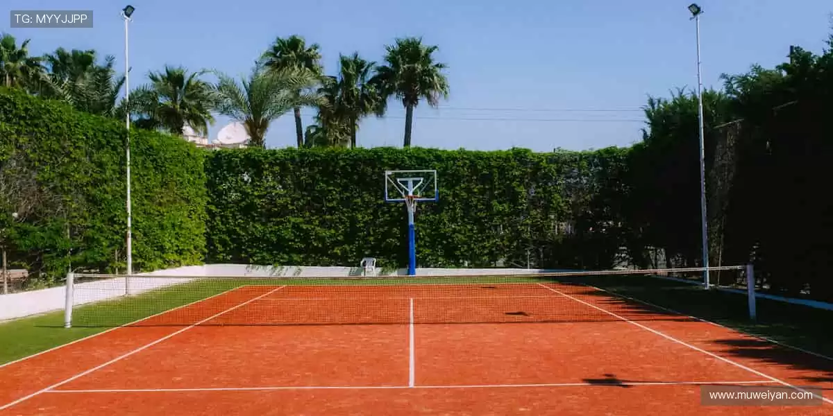 赛事激情，与你同频共振！💥